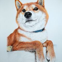 大人向けアートクラス（絵画と彫刻）初心者、経験者OK オープニング！