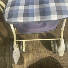 (決定)シルバーカーの画像