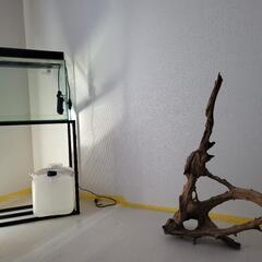 アクアリウム 流木