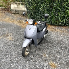 901.　動画あり　ホンダ　AF61 トゥデイ 原付　バイク　5...