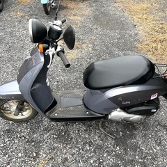 901.　動画あり　ホンダ　AF61 トゥデイ 原付　バイク　50cc   車体の画像