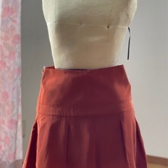 ミニスカートの画像