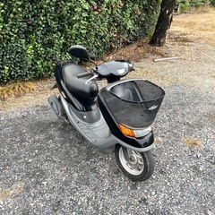 907.　動画あり　ホンダ　ライブディオチェスタ　2スト　原付　バイク　50cc   車体の画像