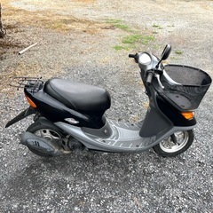 907.　動画あり　ホンダ　ライブディオチェスタ　2スト　原付　バイク　50cc   車体の画像