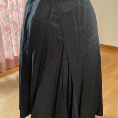 おしゃれスカートの画像