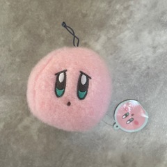 カーヴィマスコットの画像
