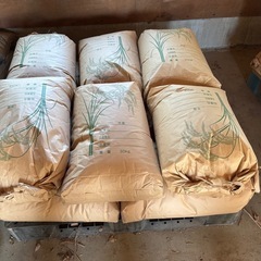 中米　こざき米25kg