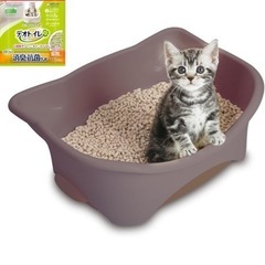 子猫　システムトイレの画像