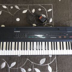 カシオトーン