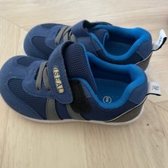 16cm 新品　お譲り先決まりました   の画像