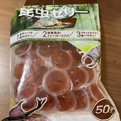 昆虫ゼリー