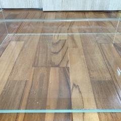 ネオグラステラ　H36の画像