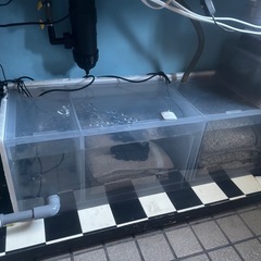 1200アクリル水槽セット オーバーフロー 隔離水槽付 水槽台 熱帯魚 海水魚の画像