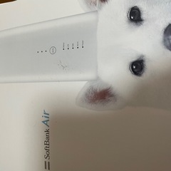 ソフトバンクエアー本体の画像