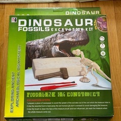 ディノサウルス 化石発掘【値下げしました】
