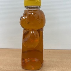 【コストコ】カークランドシグネチャー  はちみつ ベアージャグ 750gの画像