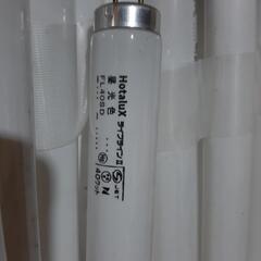 Hotalux 蛍光灯　120㎝(正規規格品)の画像