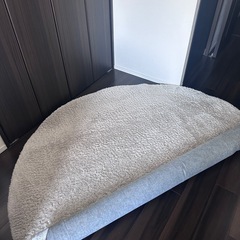 【無料】　カーペット