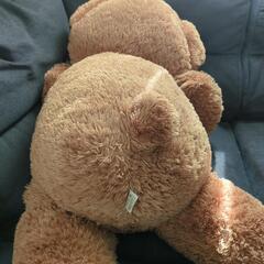 くまちゃん、ぬいぐるみ約１メートルほど。の画像