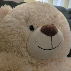 今日！入札！存在感ある　大きな、くまのぬいぐるみ！大喜び！の画像