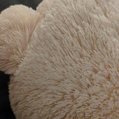 今日！入札！存在感ある　大きな、くまのぬいぐるみ！大喜び！の画像