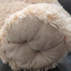 今日！入札！存在感ある　大きな、くまのぬいぐるみ！大喜び！の画像