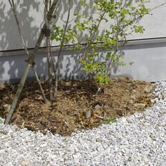 植木の剪定、庭造り、緑地施工などで新しい技術を一緒に高め合いませんか？ - 相模原市