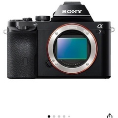 専用ですの画像