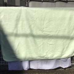 アクリル毛布　パステルグリーン　ふわふわ