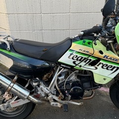 カワサキ　KSR110 Team Green仕様　(カスタム多数)