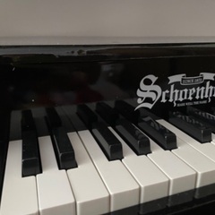 シェーンハット　Schoenhat トイピアノ　Toypiano 3005Bの画像