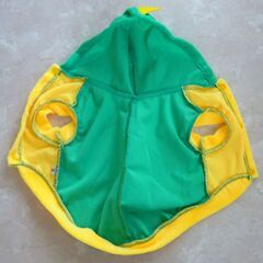 【取引終了】超小型犬・小型犬用ドッグウェア(恐竜のお洋服)(Mサイズ)の画像