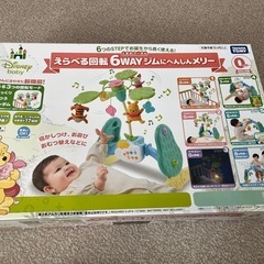 プーメリーの中古が安い！激安で譲ります・無料であげます(15