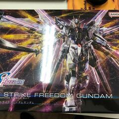 HG　1/144　マイティーストライクフリーダムガンダム【ジャン...