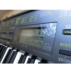 カシオ 電子キーボード 61標準鍵