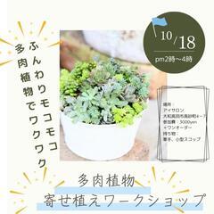 多肉植物の寄せ植えワークショップ