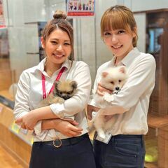「ペットショップワンラブ」守山管理センター　 生体管理スタッフ募集中の画像