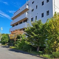 初心者クラス太極拳教室・堺市南区片蔵堺市青少年の家
