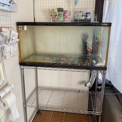 90センチ水槽お譲りします。