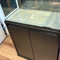 60水槽の画像