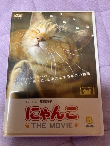 にゃんこザムービー