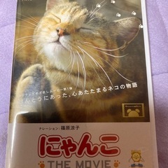 にゃんこザムービー