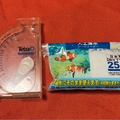 海水魚 飼育 