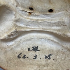 張子の鬼のお面の画像