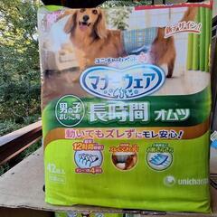 小型犬オス用オムツ　ペットオムツ　ユニ・チャーム　マナーウェア