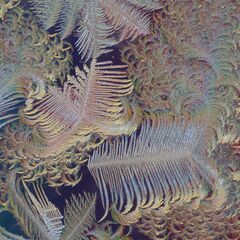 水の花展　コー・ヨンチン写真展開催のお知らせ - 展示会