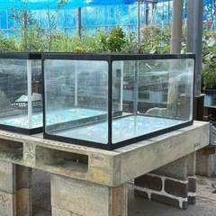 中古90センチ水槽