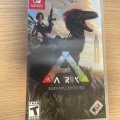 Switch➕カセット 純コンの画像
