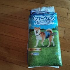ワンちゃん用マナーウェア（男の子　おしっこ用）の画像