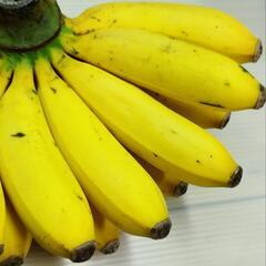 卸売市場　北海道産のタマネギはいかがでしょうか？😊